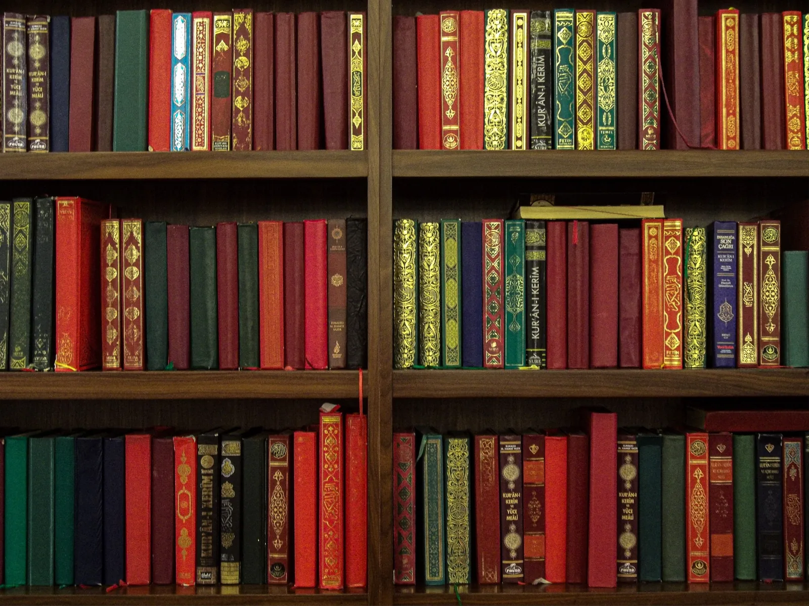 Bound doctoral dissertations on a library shelf