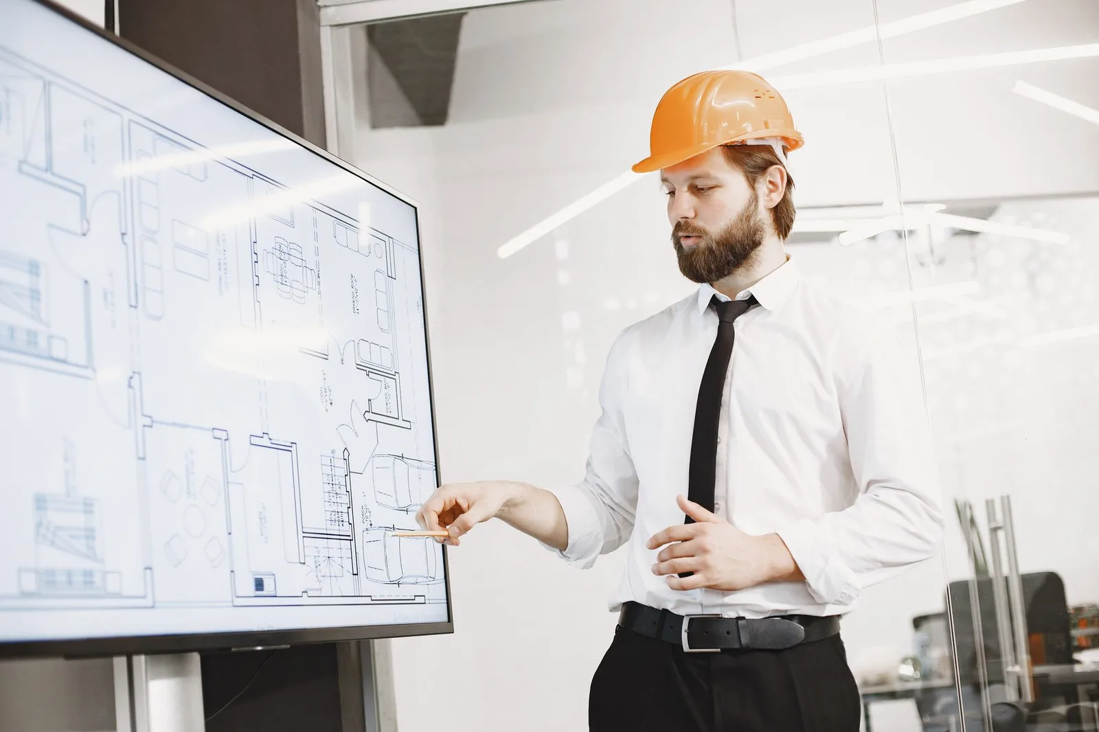 An experienced project manager coaching a junior colleague through a project schedule